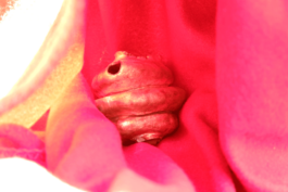 Klasse<br>für<br>Schmuck<br>und<br>Gerät