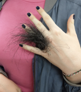 Klasse<br>für<br>Schmuck<br>und<br>Gerät