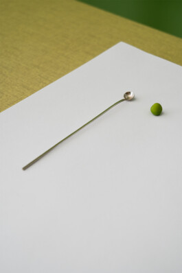 Klasse<br>für<br>Schmuck<br>und<br>Gerät