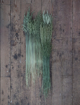 Klasse<br>für<br>Schmuck<br>und<br>Gerät